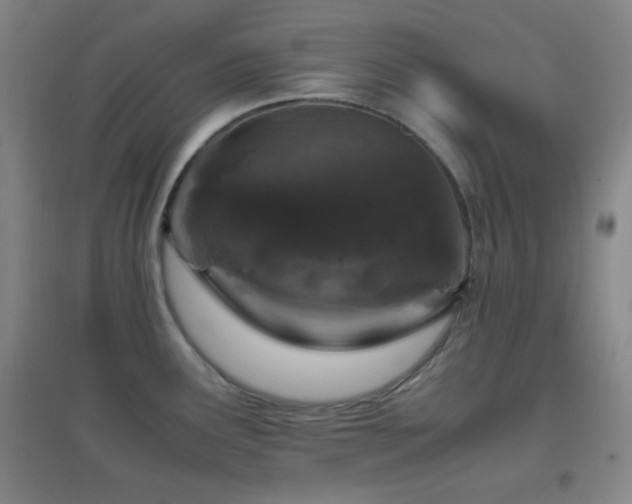 X0000096731291200802051431