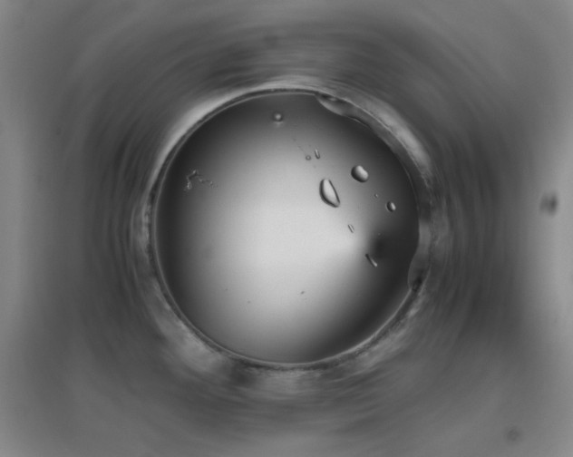 X0000096731292200802051431