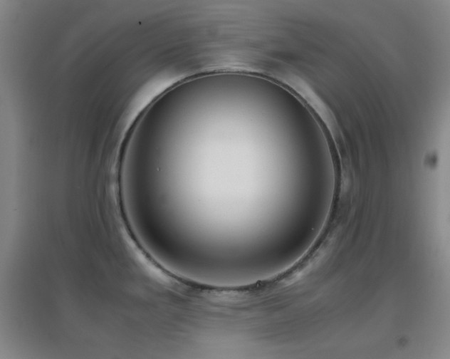 X0000096731293200802051430