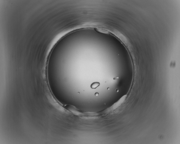 X0000096731296200802051430