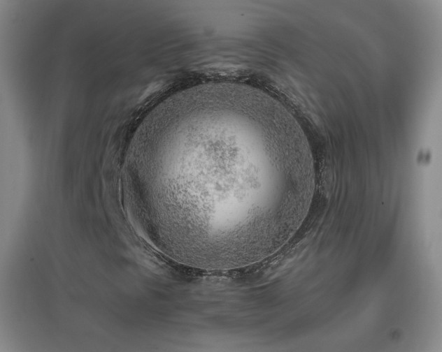 X0000096731297200802051430