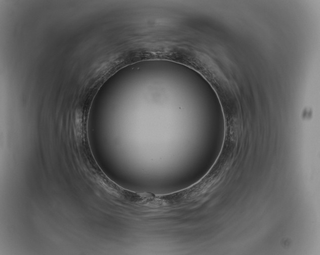 X0000096731298200802051430