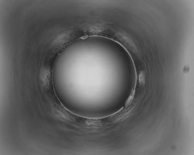 X0000096731299200802051430