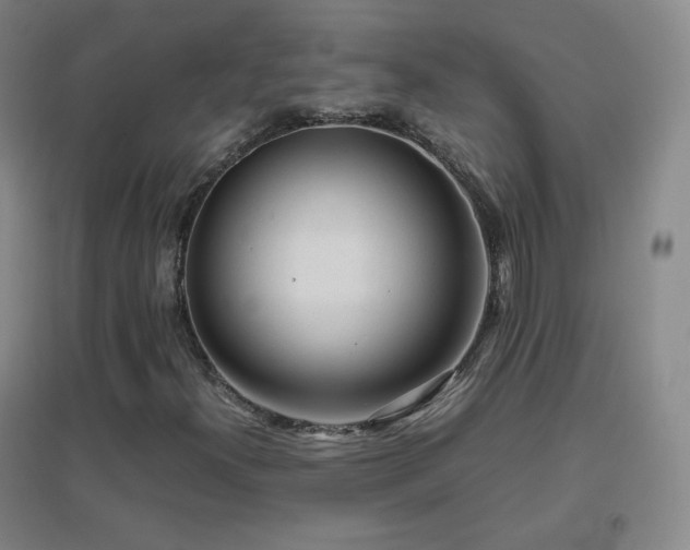 X0000096731300200802051430