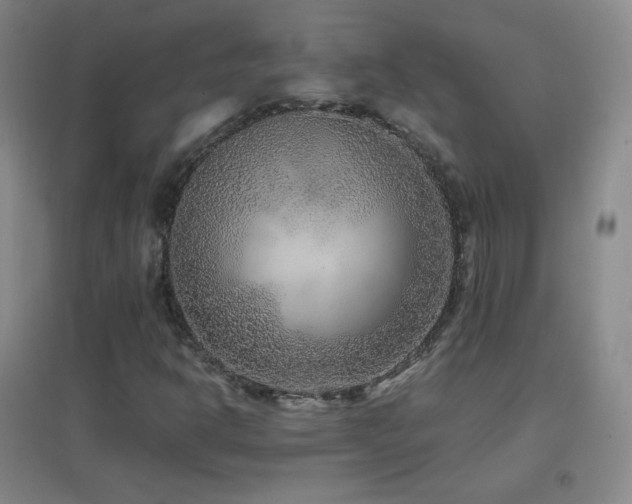 X0000096731302200802051430
