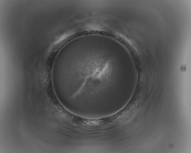 X0000096731303200802051430