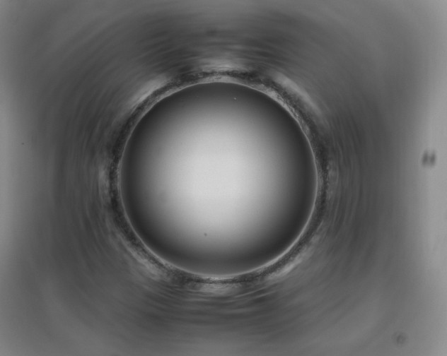 X0000096731305200802051430
