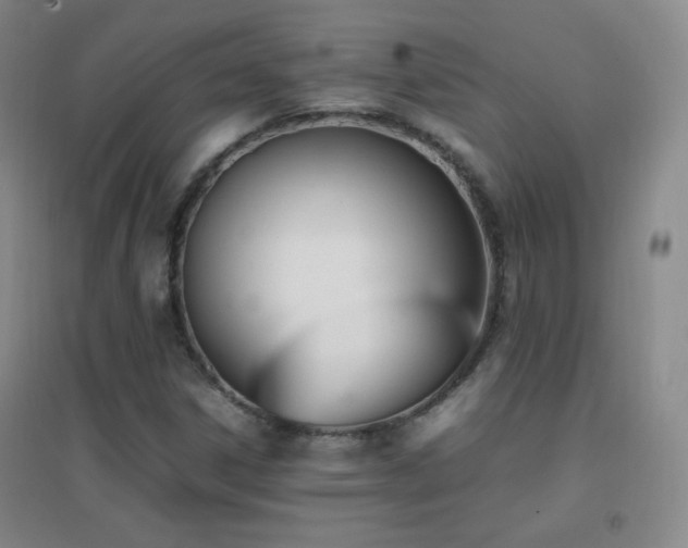 X0000096731306200802051430
