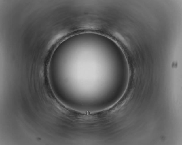 X0000096731307200802051430