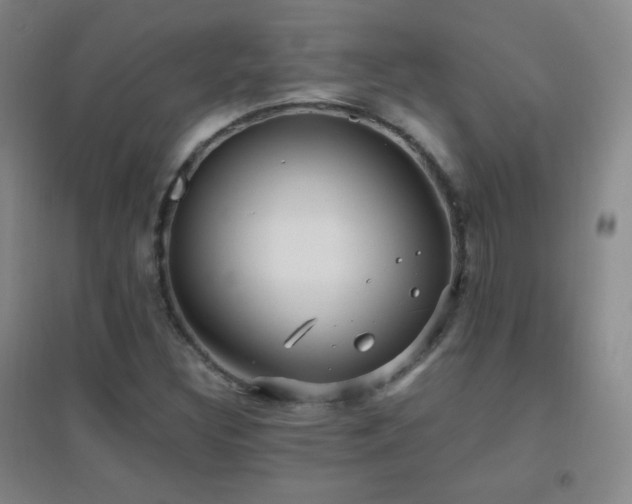 X0000096731308200802051430