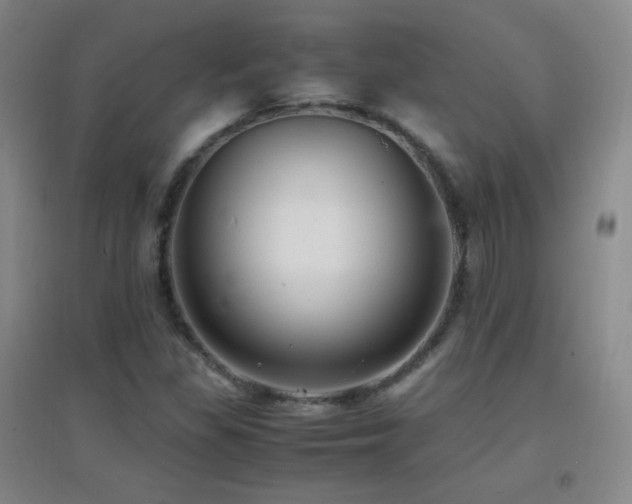 X0000096731309200802051430