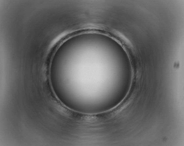 X0000096731310200802051430