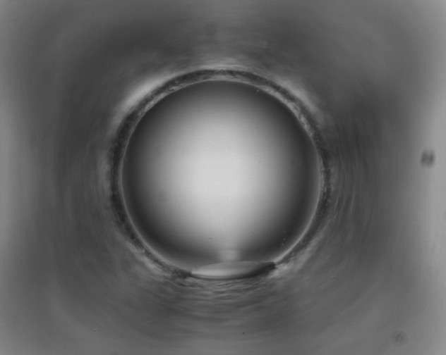 X0000096731311200802051430