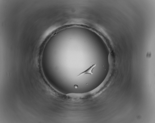 X0000096731312200802051430