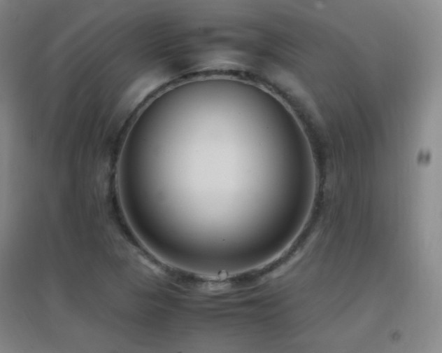 X0000096731313200802051430