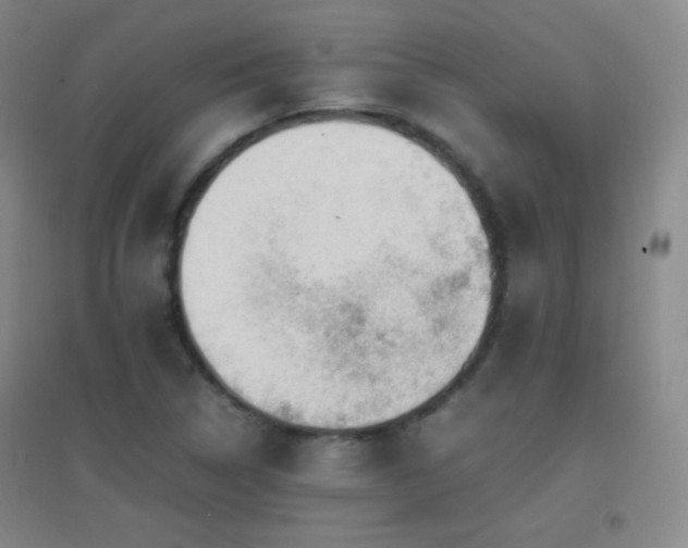 X0000096731314200802051430