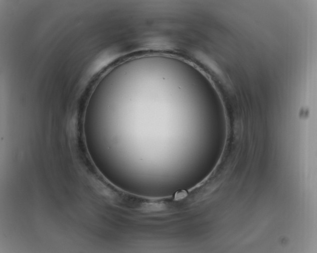 X0000096731315200802051430