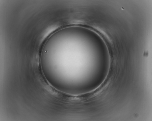 X0000096731317200802051430