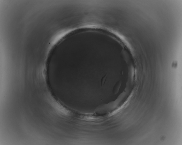 X0000096731319200802051430