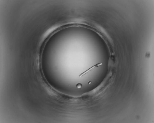 X0000096731320200802051430