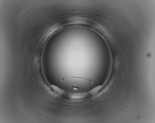 X0000096731321200802051430