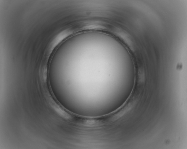 X0000096731322200802051430