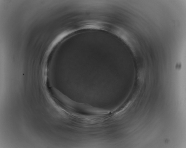 X0000096731323200802051430