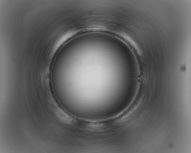 X0000096731325200802051430