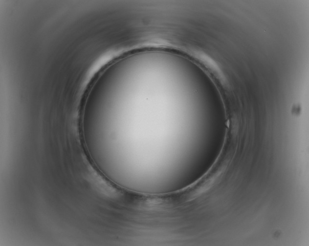 X0000096731326200802051430