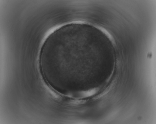 X0000096731327200802051430