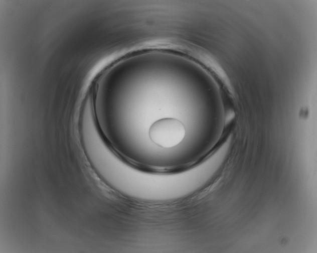 X0000096731328200802051430