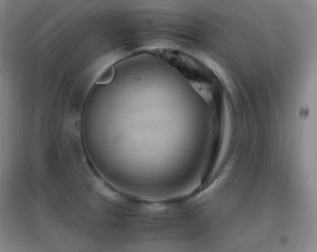 X0000096731329200802051430