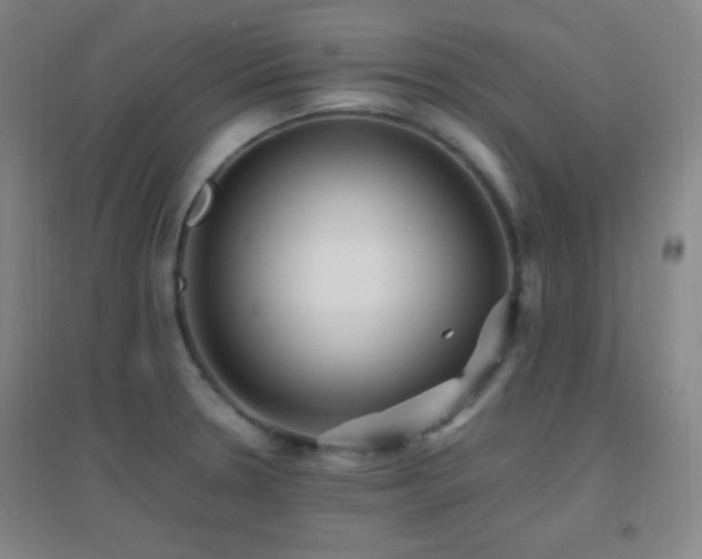 X0000096731330200802051430