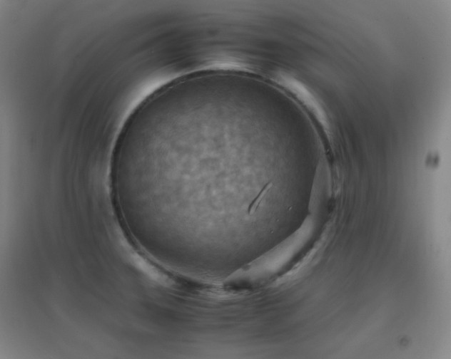 X0000096731331200802051430