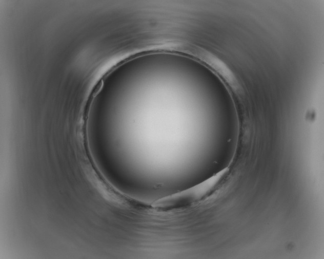 X0000096731332200802051430