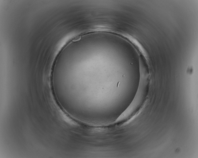 X0000096731333200802051430