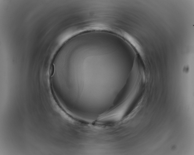 X0000096731334200802051430