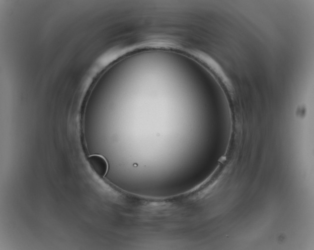 X0000096731335200802051430
