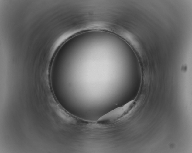 X0000096731336200802051430