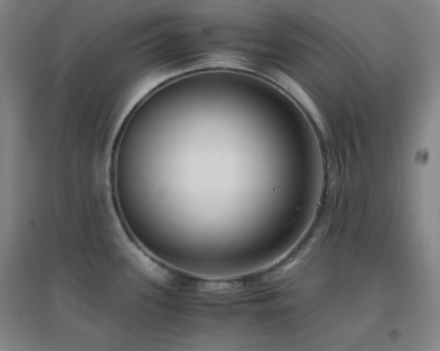 X0000096731339200802051430