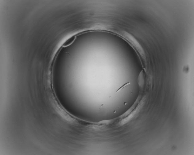 X0000096731340200802051430