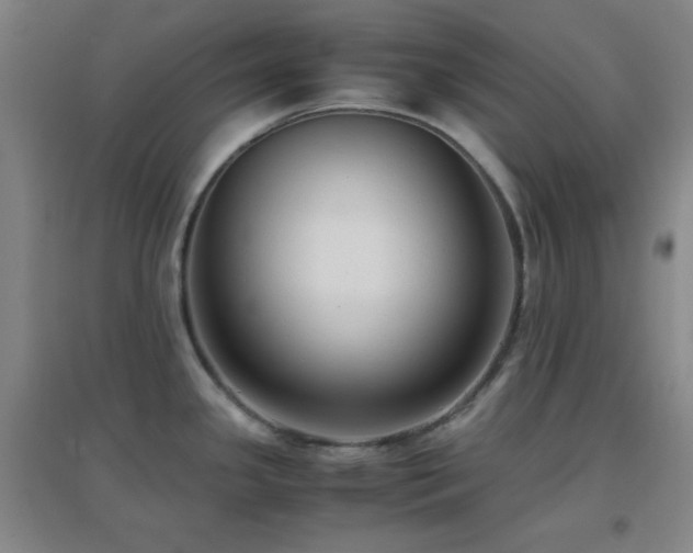 X0000096731341200802051430