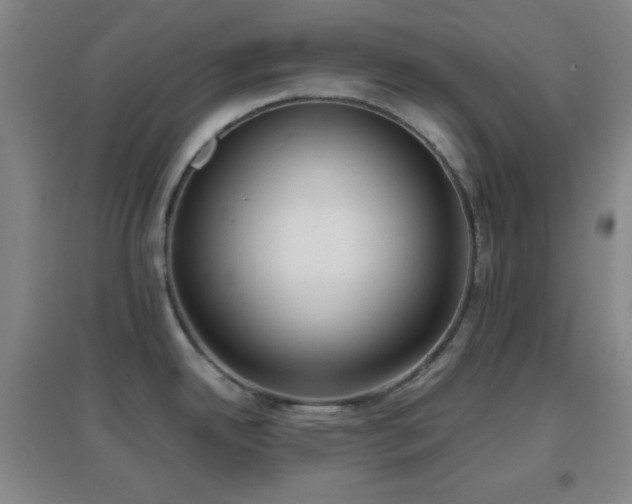 X0000096731342200802051430
