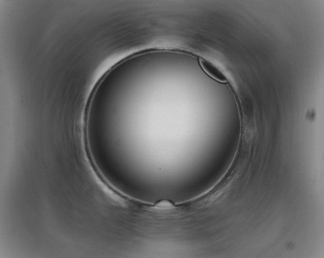 X0000096731343200802051430