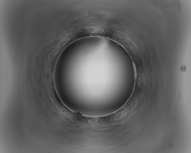 X0000096731345200802051430
