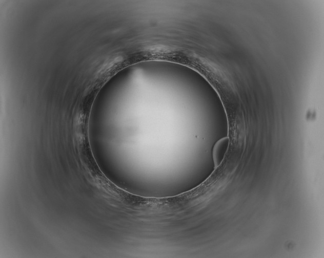 X0000096731346200802051430