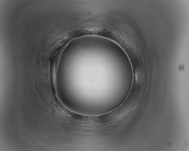 X0000096731347200802051430