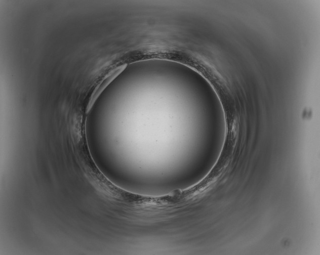 X0000096731348200802051430