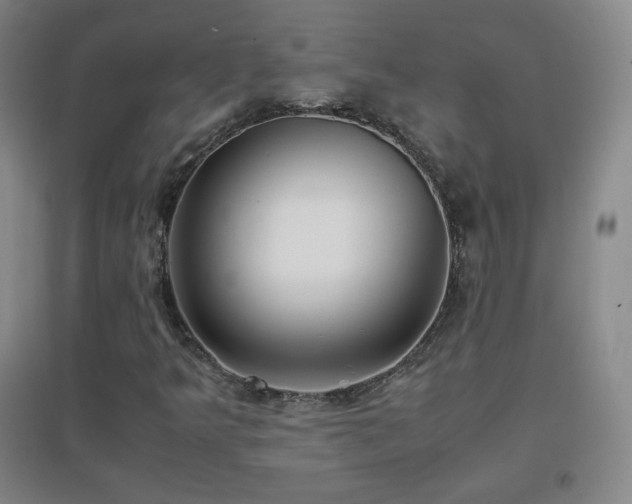 X0000096731349200802051430