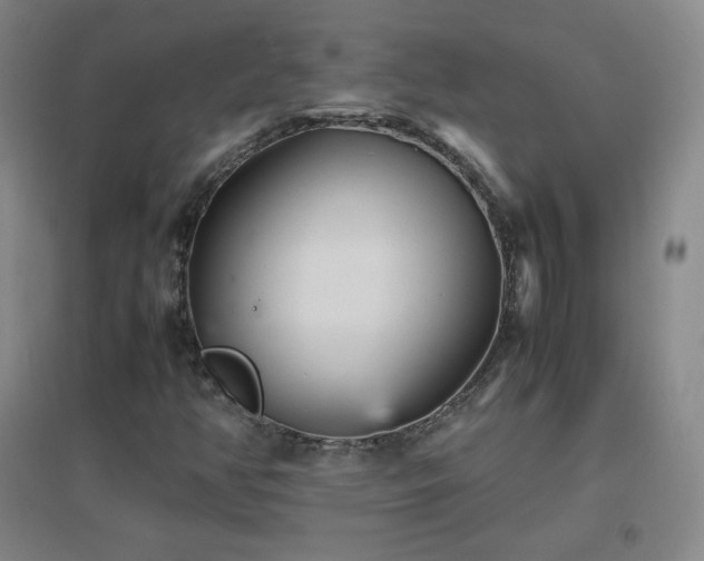 X0000096731350200802051430